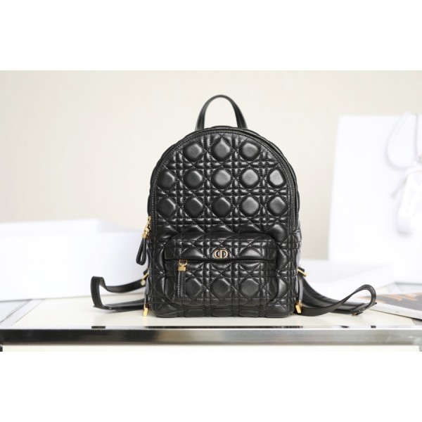 DIOR BACKPACK small size shoulder bag DR-89