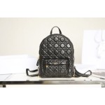 DIOR BACKPACK small size shoulder bag DR-89