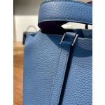 picotin18 deep blue sea anemone purple handle TC leather silver buckle