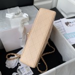 CHANEL A01112 caviar