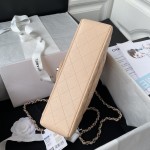 CHANEL A01112 caviar