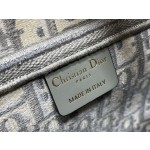 Dior Grey Letter Embroidery Saddle Bag 3351