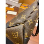 Louis Vuitton exclusive starting model: M45831