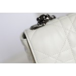 ▪️ DIOR CARO White Gunmetal Buckle DR-061