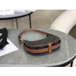 CELINE Mini Moon Bag Model: 101602