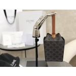 CELINE 𝗦𝗧𝗥𝗔𝗣𝗕𝗢𝗫𝗕𝗮𝗴𝗴 French fries model: 197142