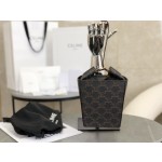 CELINE 𝗦𝗧𝗥𝗔𝗣𝗕𝗢𝗫𝗕𝗮𝗴𝗴 French fries model: 197142