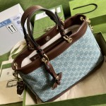 GUCCI handbag model: 688666