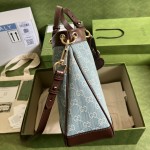 GUCCI handbag model: 688666