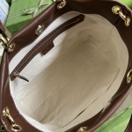 GUCCI handbag model: 688666