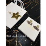 Dior CD Earrings