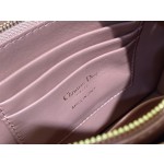 Dior Caro Zip Clutch3102