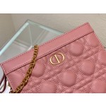 Dior Caro Zip Clutch3102