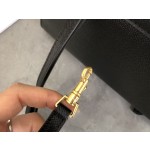 CELINE Little Pico Catfish Bag Model: 189003