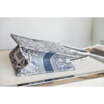 DIOR TOTE Gradient Tiger