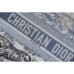 DIOR TOTE Gradient Tiger