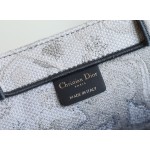 DIOR TOTE Gradient Tiger