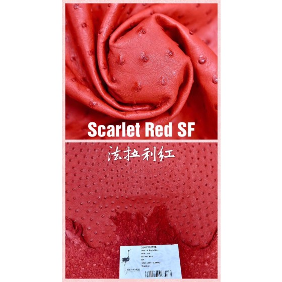 Hermes makes exclusive leather wild South African ostrich leather:95 Ferrari red