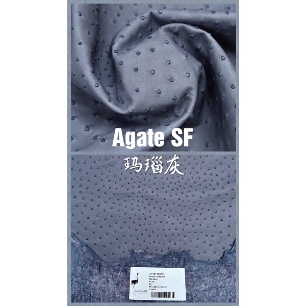 Hermes makes exclusive leather wild South African ostrich leather:82 Agate Gray