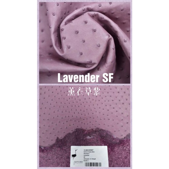 Hermes makes exclusive leather wild South African ostrich leather: 5H lavender purple