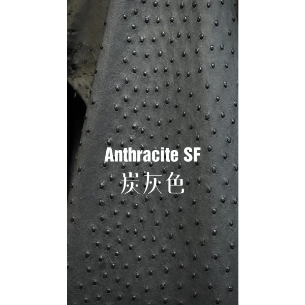 Hermes makes exclusive leather wild South African ostrich leather:charcoal gray