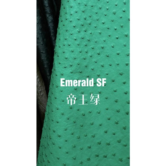 Hermes makes exclusive leather wild South African ostrich leather:06 Imperial Green