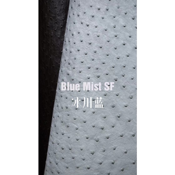 Hermes makes exclusive leather wild South African ostrich leather:8U glacier blue