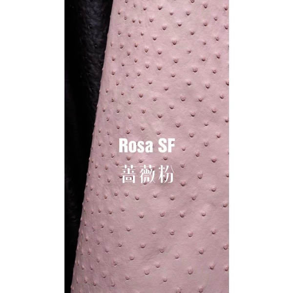 Hermes makes exclusive leather wild South African ostrich leather:P1 rose powder