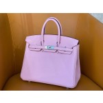 Birkin 25/30 Birkin 25/30 Malva Purple Togo Skin