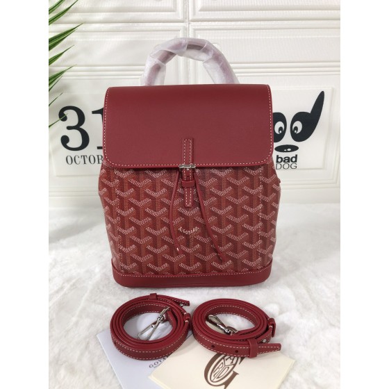 GOYARD Alpin Mini Backpack W30