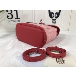 GOYARD Alpin Mini Backpack W30