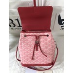 GOYARD Alpin Mini Backpack W30