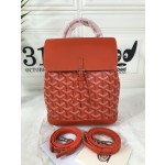 GOYARD Alpin Mini Backpack W30