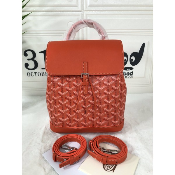 GOYARD Alpin Mini Backpack W30