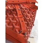 GOYARD Alpin Mini Backpack W30