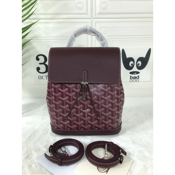 GOYARD Alpin Mini Backpack W30