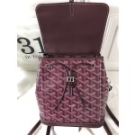 GOYARD Alpin Mini Backpack W30