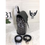 GOYARD Alpin Mini Backpack W30