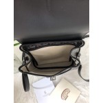 GOYARD Alpin Mini Backpack W30