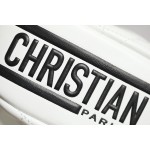 DIOR VIBE small dumpling bag