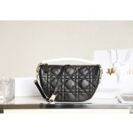 DIOR VIBE Medium Dumpling Bag