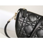 DIOR VIBE Medium Dumpling Bag