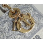 DIOR LADY-D-LITE five compartment daffy bag embroidered tiger gray
