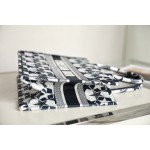 DIOR TOTE blue small five stars