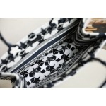 DIOR TOTE blue small five stars