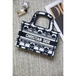 DIOR BOOK TOTE blue small five stars