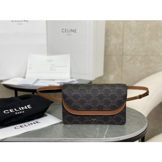 CELINE 𝒘𝒐𝒄 Package Model: 10D852