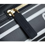 DIOR VIBE 拉链保龄球包