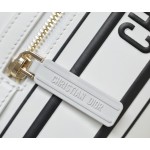 DIOR VIBE 拉链保龄球包