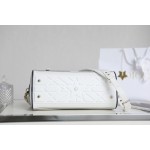 DIOR VIBE 拉链保龄球包